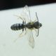 DSC01069.jpg