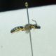 DSC01071.jpg