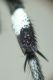 DSC04427.JPG