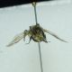 DSC01103.jpg
