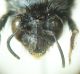 DSC04447.JPG
