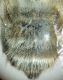 DSC04483.JPG