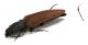 Comb3108a-16zL6cr.jpg
