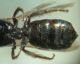 DSC04650.JPG