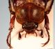 IMG_2062 - Copia.JPG