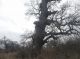 IMG_20201206_133603_1.jpg