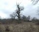 IMG_20201206_133718_1.jpg