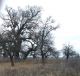IMG_20201206_133846_1.jpg