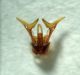 DSC04704.JPG