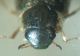 DSC04727.JPG