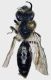 Andrena_fucata1.FEI.jpg