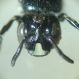 DSC04774.JPG