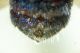 DSC04775.JPG