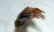 DSC04791.JPG