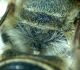 DSC04833.JPG