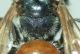 DSC04861.JPG