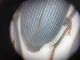 20201227_122856.jpg