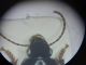 20201227_122823.jpg