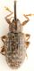 2017-10-09 19-04-28 (A,Radius4,Smoothing2).JPG