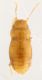 2017-10-10 22-16-17 (A,Radius4,Smoothing2).JPG