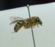 DSC011221.jpg