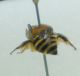DSC011231.jpg