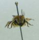 DSC011241.jpg