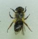 DSC011251.jpg