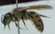 DSC010951.jpg