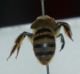 DSC010961.jpg