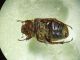 IMG_20210112_183656_compress68_resize_49.jpg