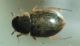 DSC05186.JPG