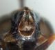 DSC05271.JPG