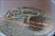 06_location_larva_grande_1847.jpg