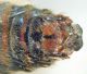 DSC05365.JPG