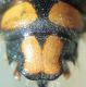 DSC05355.JPG