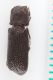 LIMACUS ORGINALE 012.jpg