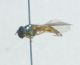 DSC012121.jpg