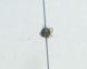 DSC012141.jpg