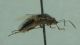 DSC012761.jpg