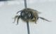 DSC010921.jpg