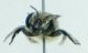 DSC011121.jpg