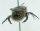 DSC011131.jpg