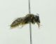 DSC011301.jpg