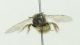 DSC011311.jpg