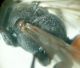 DSC05478.JPG