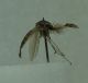 DSC012371.jpg