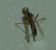 DSC012391.jpg