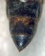 DSC05534.JPG