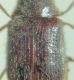 DSC05662.JPG